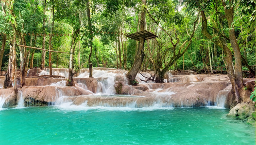 湖老挝LuangPrabang附近的热带雨林宽西连级瀑布中有着惊人的松绿水颜色池图片