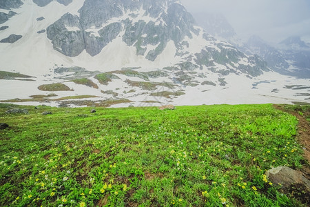 雪山草地绿河谷春天草地岩石背景