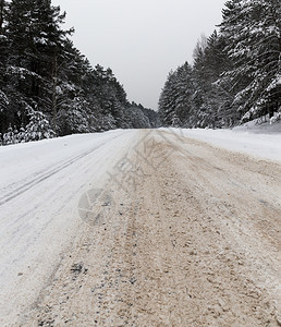 车道畦巷在冬季拍摄的森林中小路从公底部拍制的照片在雪下可见的冬季道路下有卡尔斯夸轮车的痕迹照片来自河底图片