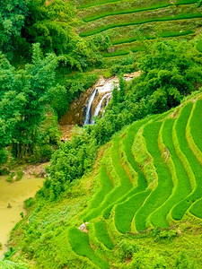 种族的爬坡道农场越南北山SapaChapa附近的老挝稻田越南泰图片
