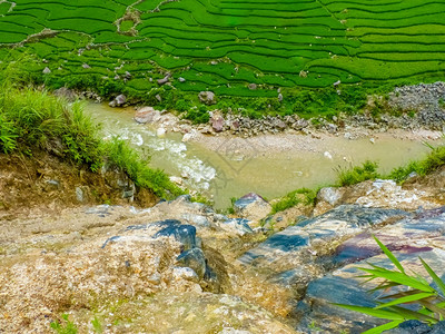 越南北山SapaChapa附近的老挝稻田越南泰食物部落热带图片