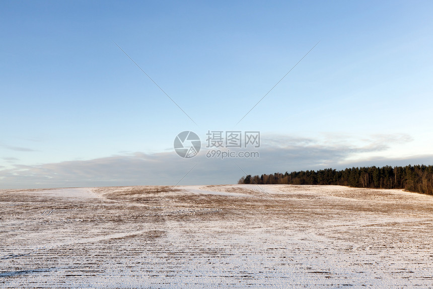 在冬季拍摄的照片近切旧草地雪老绿草大雪气候冰天图片