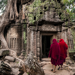 长袍AngkorWat古老高棉建筑TaProhm寺庙的佛教僧侣在丛林中埋藏的废墟根目地图片