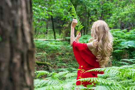 极好的接触孤独一个美丽的金发女背影身着一条红洋装触摸着仙女森林里的一头野兽大气中最美极了高品质的照片美丽金发女的背影穿著一件红洋图片