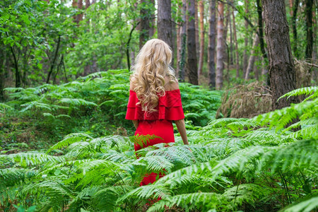 一种个美丽的金发女背影身着一条红洋装触摸着仙女森林里的一头野兽大气中最美极了高品质的照片美丽金发女的背影穿著一件红洋装碰着仙女森图片
