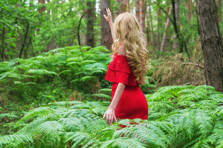 孤独树高的一个美丽金发女背影身着一条红洋装触摸着仙女森林里的一头野兽大气中最美极了高品质的照片美丽金发女的背影穿著一件红洋装碰着图片