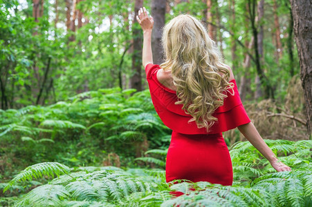 魔法黑暗的一个美丽金发女背影身着一条红洋装触摸着仙女森林里的一头野兽大气中最美极了高品质的照片美丽金发女的背影穿著一件红洋装碰着图片