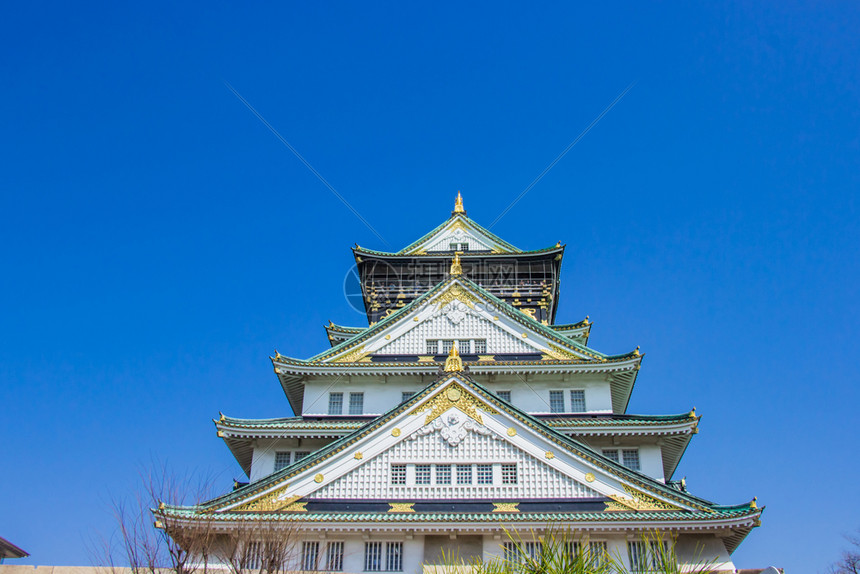 樱花本州三月十四日2018年大阪城堡在朝仓盛开花的期间日本即将开花秋天图片