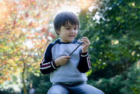 男孩坐在绿色草地上玩木棍的与模糊不清的秋叶花色笑孩子握着树枝享受园艺休闲时间孩子在秋季享受公园户外游戏自然操场愉快图片