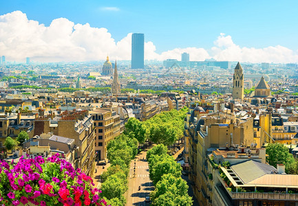 巴黎建筑从上到下在夏季的概览高架城市景观光图片