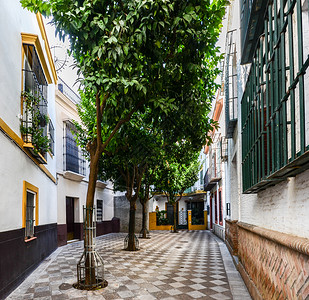 建筑学铁西班牙安达卢亚州塞维利圣克鲁斯市著名的圣十字街坊又称巴里奥德圣克鲁斯塞维尔安达卢西亚的静脉大肠杆菌犹太人图片