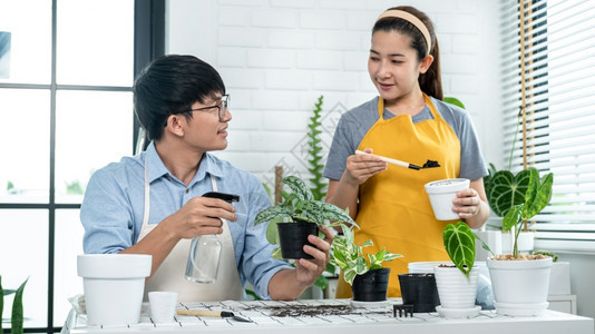 随意的铲穿便衣园丁夫妇准备土壤将植物移到一个新的罐中使用喷洒瓶装浇水厂来照顾家里的植物同时共从事业余活动在娱乐的同时处理室内植物图片