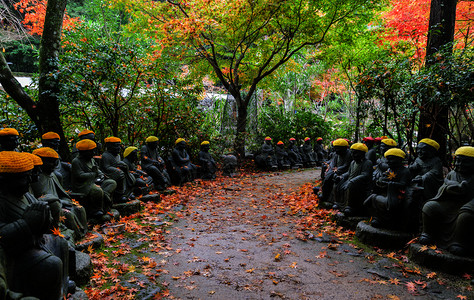 大圣院季节花的在日本广岛宫间Daishoin寺庙堂秋天的日本花园与佛祖连成小道背景图片