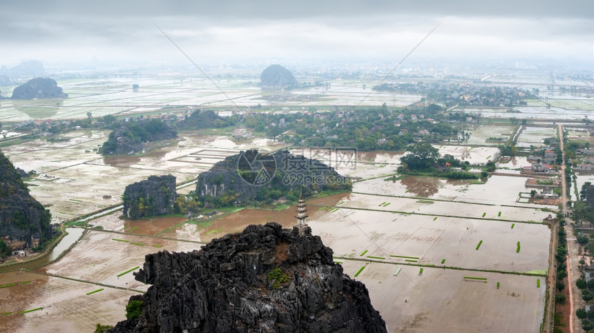 种植园清晨雨天越南新平NinhBinh旅行地貌和目的背景对稻田石灰岩和山顶HangMua庙寺的山顶塔进行惊人的全景观场地白饭图片