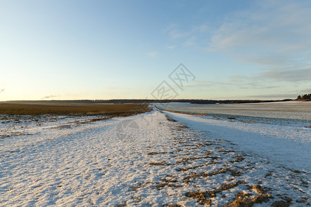 照片在一雪覆盖的公路上用浅深的田地缝合RutsRuts在一条雪覆盖的公路上场地霜田园诗般的图片