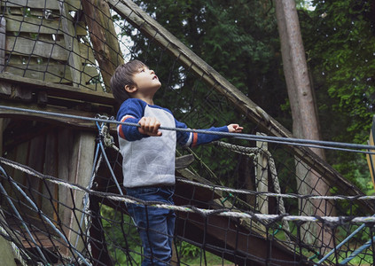 建筑学靠近在树屋年轻男孩的绳子架上攀爬独自站在公园附近的高林木旁看孩子独自在秋天户外游乐场玩耍孩子在野外乐趣图片