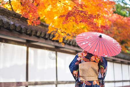 女旅游大社在京都FushimiInari神社红木托里门中身着日本和服的吉沙斯女孩穿日本和服同义词这实际上意味着一件要穿的东西图片