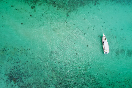 绿色新自由概念冒险日与旅游者蓝海快艇的顶端景色蓝海中浮水背景顶层观光热带海滩上明亮的绿石晴天海岸线图片