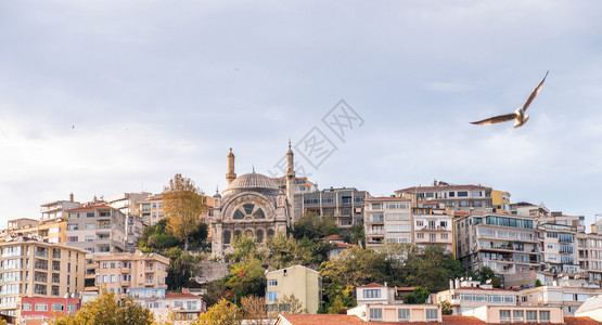 土耳其伊斯坦布尔市风景和建筑土耳其欧洲天际线建筑物图片