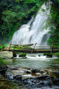 坠落泰国清迈省DoiInthanon公园热带雨林景观包括丛植物PhaDokXu瀑布流水和竹桥MaeKlangLuang村的热带雨图片