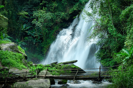 泰国清迈省DoiInthanon公园热带雨林景观包括丛植物PhaDokXu瀑布流水和竹桥MaeKlangLuang村的热带雨林风图片