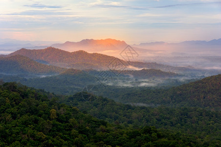 树木寒冷的太阳在山上绿色森林喷洒美丽的雾空中观测日出横梁红点在泰兰以北的山脉上美丽雨林风景清晨有雾美丽的在山上绿树林图片