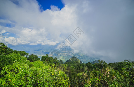 云雾缭绕的山灰蒙爬坡道热带雨林的晨雾风景名胜背景