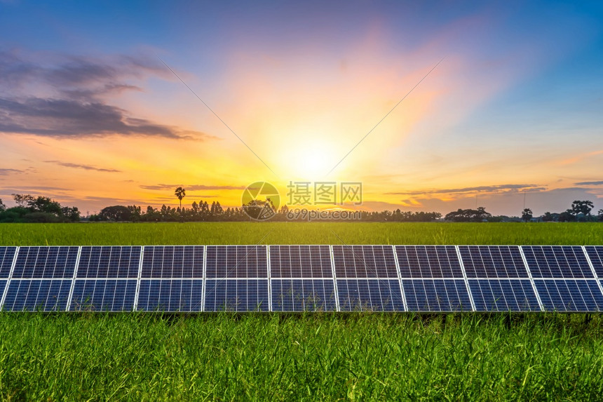 工业的绿色光伏太阳能电池板和大稻田绿草景观有地玉米或亚洲农业收获蓝天日落背景清洁替代电力能源CleanAlterferPower图片
