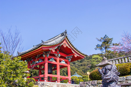 旅游清代寺庙内美丽的钟楼在樱花开期间的京都有标志佛教寺庙日本即将开花佛教徒漂亮的图片
