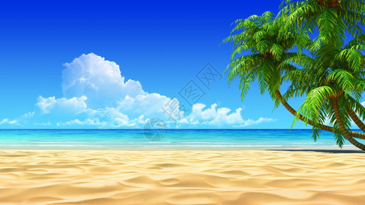 孤独美丽空旷田园诗般的热带沙滩上棕榈树无噪音干净极其详细的3d渲染概念适合休息度假村水疗设计或背景岛图片