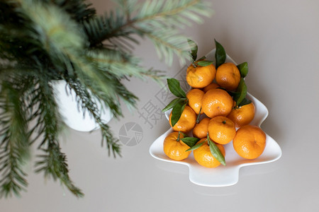 圣诞树下的橘子图片