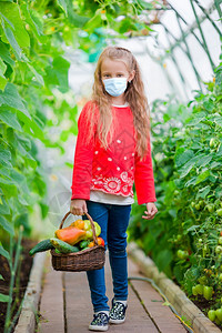 带着防面具的可爱小女孩在温室收获时间里盛满了蔬菜的大篮子在温室里收集黄瓜和番茄作物Cute小女孩在温室里收集黄瓜和番茄春天夏成熟图片