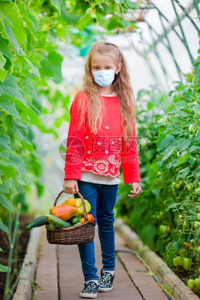 带着防面具的可爱小女孩在温室收获时间里盛满了蔬菜的大篮子在温室里收集黄瓜和番茄作物Cute小女孩在温室里收集黄瓜和番茄春天夏成熟图片