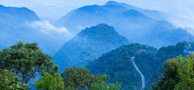 旅行多雾路段踪迹在清迈旅游景点泰国北部清迈市DoiAngKhang附近一个宁静的景象清迈旅游点晨雾中山地路风景图片