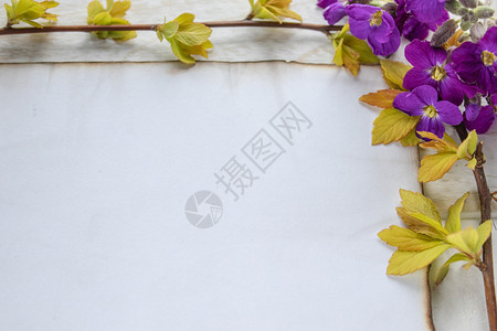 小样躺着花朵在白木板上有黄色床单和紫花的树枝在边缘烧着的一张白色纸片为文字留下空间概念在白色木板上有黄皮和紫花的树叶上一张白色纸图片