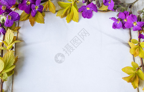 笔记本平坦的生日在白木板上有黄色床单和紫花的树枝在边缘烧着的一张白色纸片为文字留下空间概念在白色木板上有黄皮和紫花的树叶上一张白图片