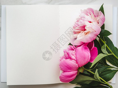 浪漫的女明亮花朵和写字地方关闭没有人纹理祝贺家人亲戚朋友和同事鲜花和刻字的地方花束图片
