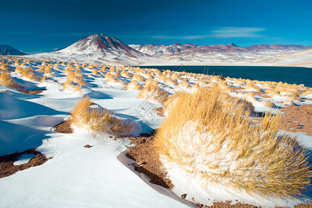 LagunaMiscantiLagoon和Cerro山位于AltiplanoHighAndeanPlateau海拔4350mLo图片