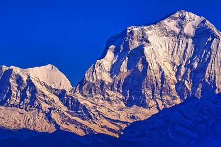 旅行美丽的道拉吉里峰安纳普尔山脉日出从潘观景点Ghorepani跋涉到安纳普尔大本营安普尔保护区喜马拉雅山脉尼泊尔亚洲可爱的图片