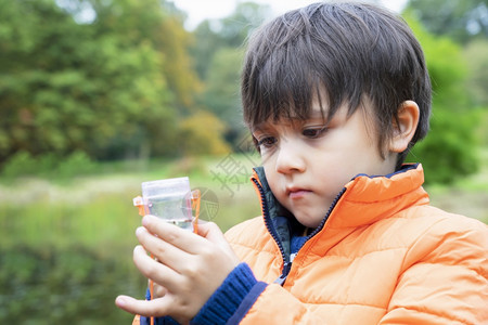 幼童在池塘捕捉生物小男孩在看虫盒中的插孔儿童探险者有选择的焦点了解农村野生自然秋季儿童户外活动快乐的绿色网图片