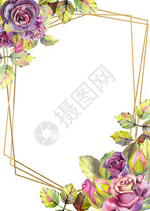 绣球花紫色的深玫瑰花绿叶构图框架的垂直方向婚礼鲜花的概念卉海报邀请函用于设计贺卡或请柬的水彩作品深玫瑰花构图的概念婚礼花用于设计图片