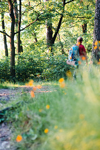 健康绿化女士在暑假旅行期间带着背包走在穿过森林的道路上走过森林的青年妇女徒步旅行者图片