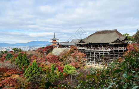 日本京都清美津寺庙秋天彩色风景的落幕美丽点树图片