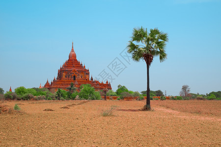 雄伟历史纪念碑缅甸巴根古老的代Gubyaukikyyyi寺缅甸巴甘的东南亚美丽老佛教塔缅甸最流行和著名的布伦西里程碑缅甸旅游目的图片