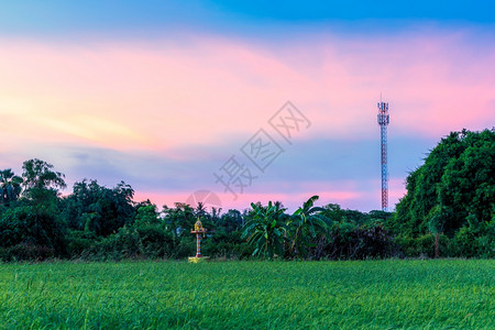 具有田野绿草的移动站接收天线塔和PhraPhum圣迹有田野玉米地和紫光蓝亮橙黄色日落天空有白云气背景暮结构体工程图片
