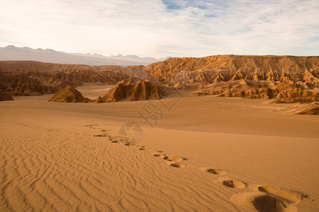 圣佩德罗阿塔卡马沙漠智利安托法加斯塔地区智利南美洲的洛斯弗拉门科保留地天桑图片