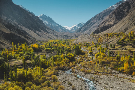登山假期巴基斯坦SkarduGilgitBaltistanKarakoram山脉由环绕的溪流所覆盖秋天黄树和绿花叶自然景观远足图片