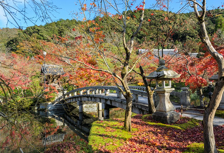 枫景观户外日本京都Eikando或Zenrinji寺庙石桥和圣迹的秋天景色图片