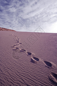 智利南美洲阿塔卡马沙漠谷西班牙人为谷的ValledelaMuerte沙漠丘上的脚印风景优美干旱瓦莱图片