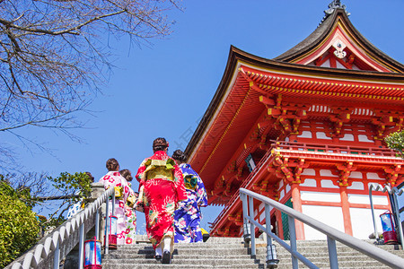 为了堡日本观光客和外籍人士穿上浴衣参观日本清水寺庙内的气氛在京都盛开的樱树花朵中京都将盛开日本人图片